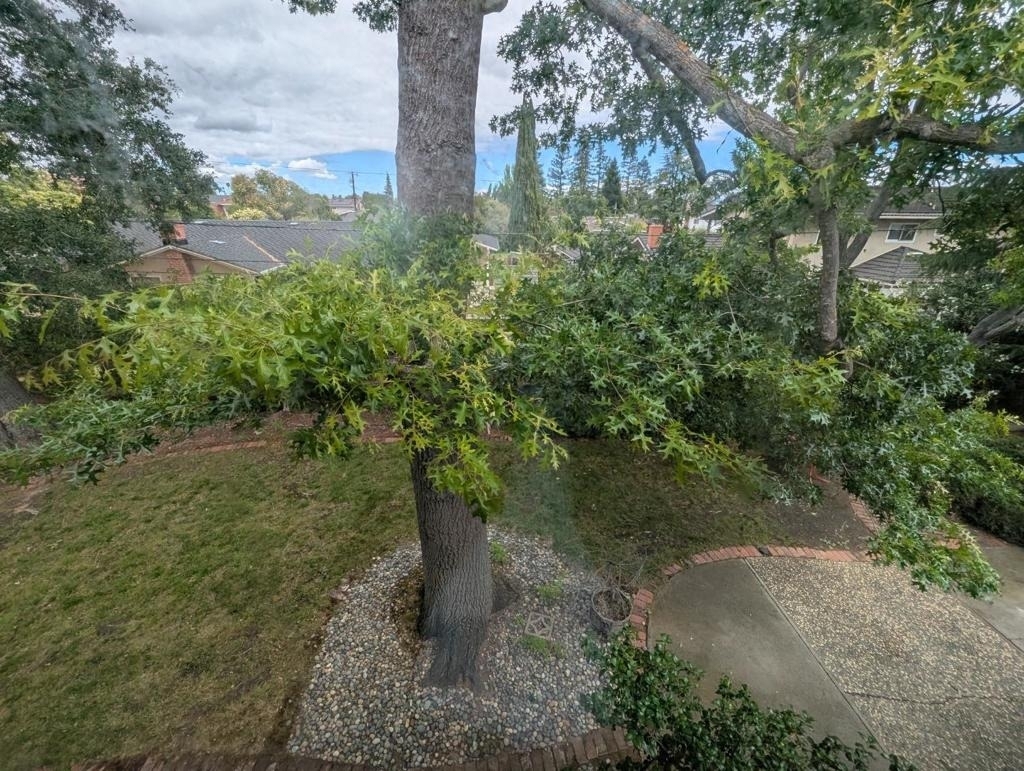 19645 Ladera Court - Photo 18
