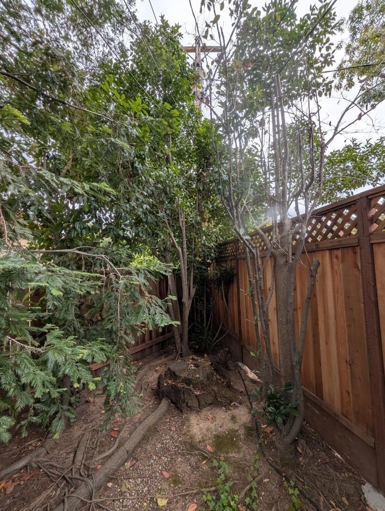 19645 Ladera Court - Photo 84