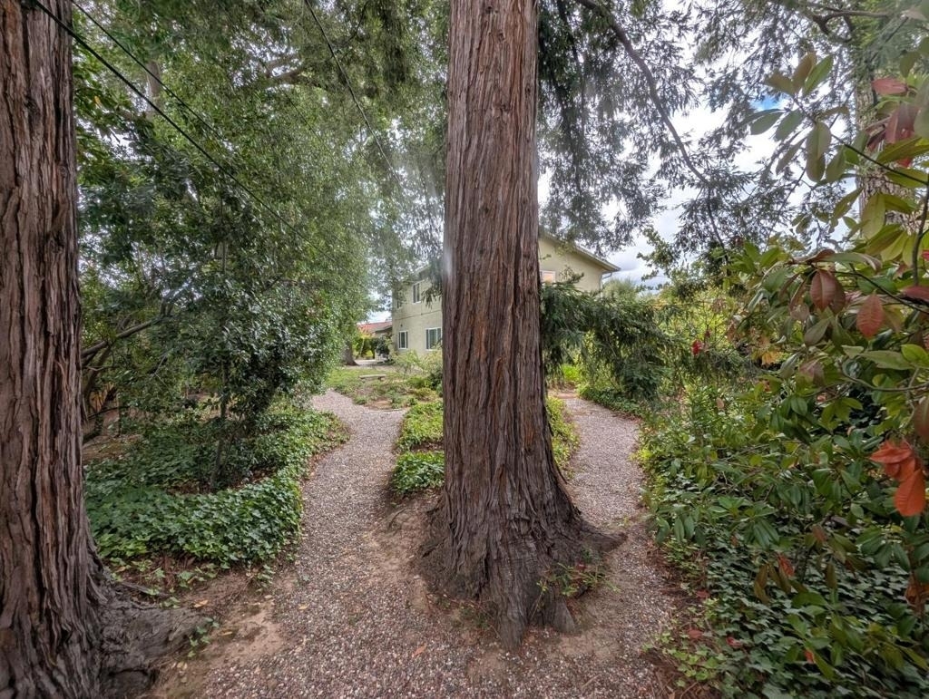 19645 Ladera Court - Photo 86