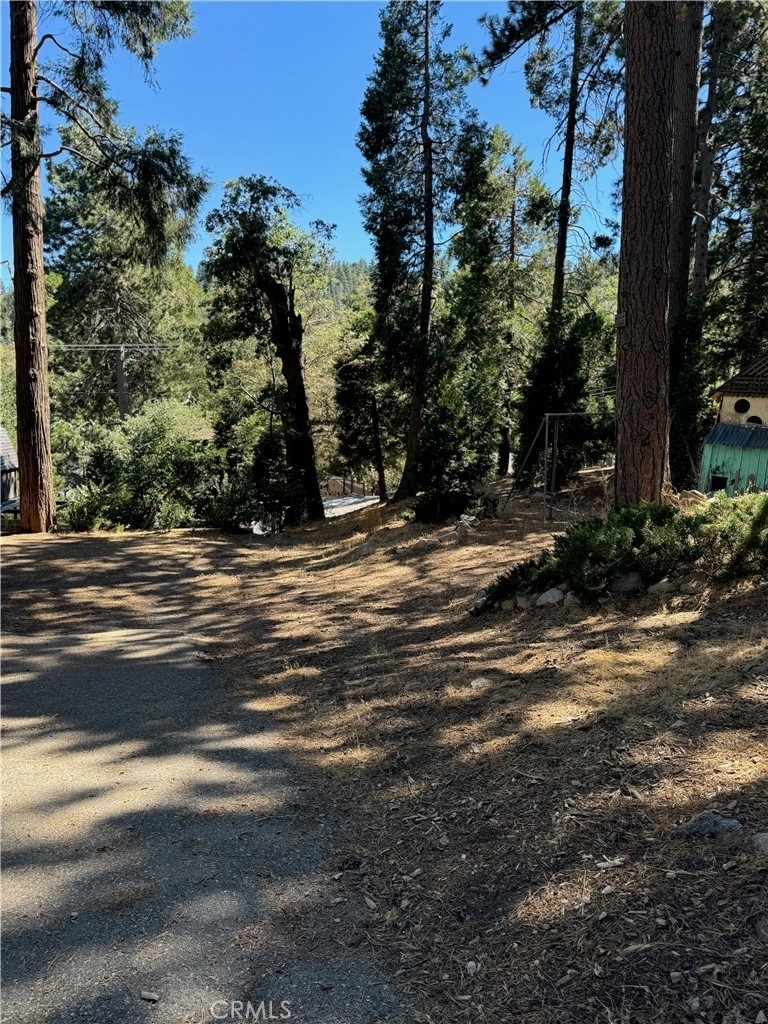 26243 Alpine - Photo 3