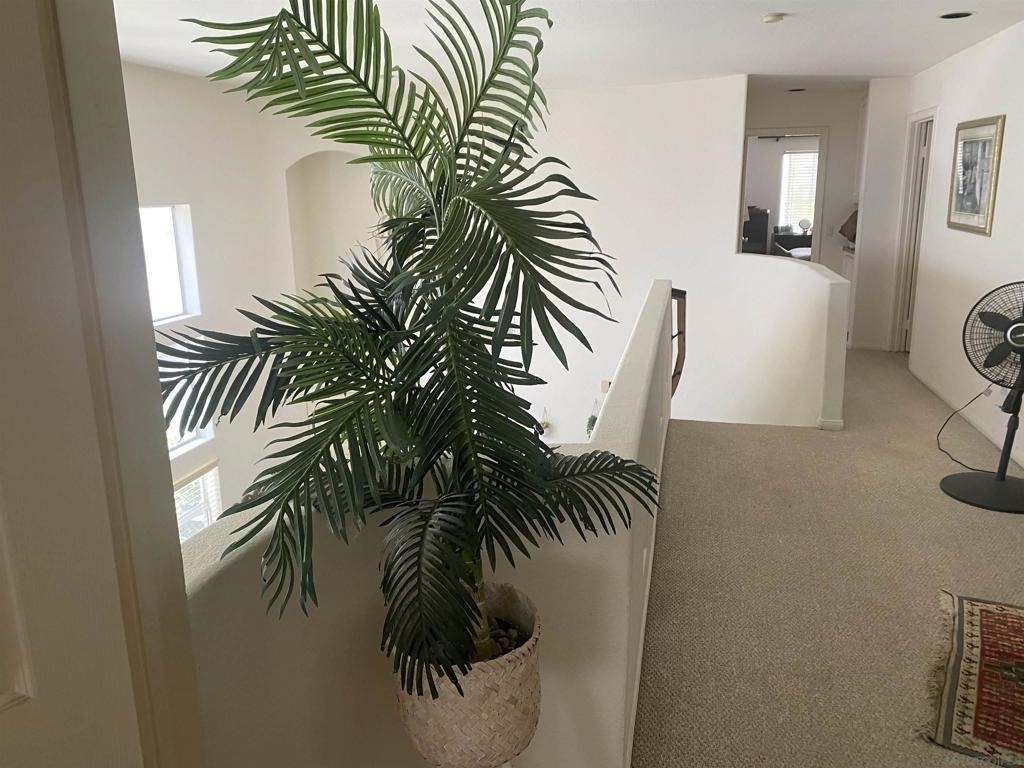 4534 Da Vinci St - Photo 6