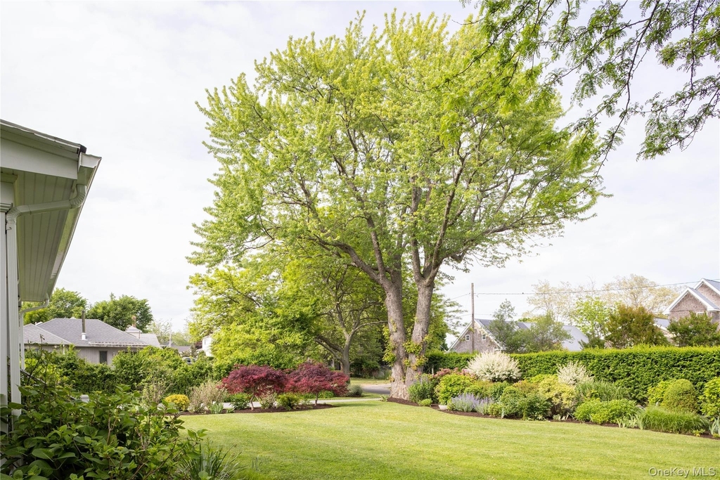 2395 Jackson Street - Photo 20