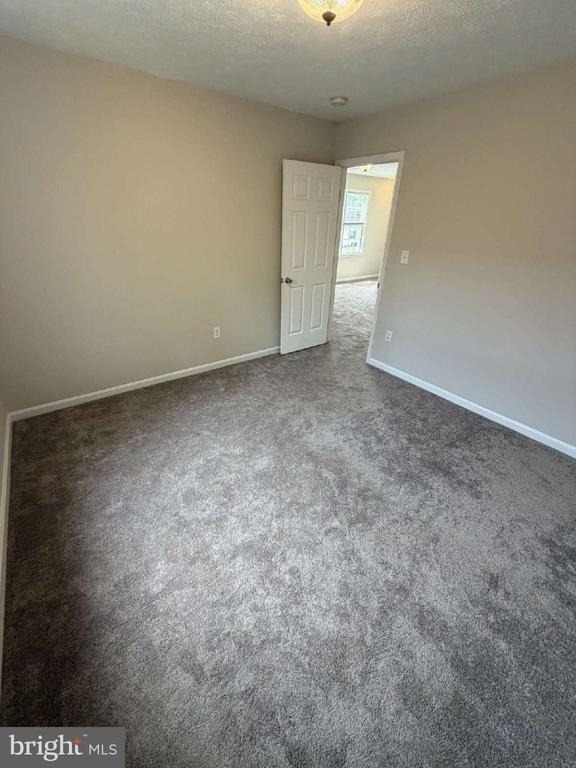 313 3rd Street - Photo 15