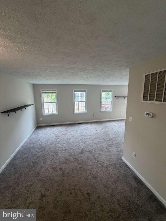 313 3rd Street - Photo 25
