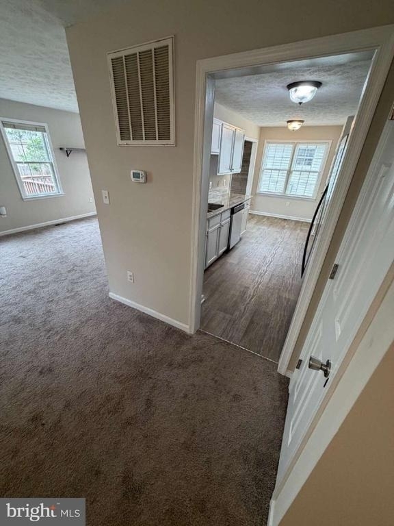 313 3rd Street - Photo 22