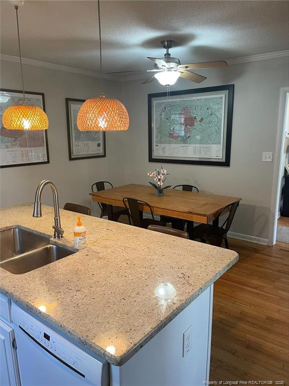 213 Marshall Road - Photo 2