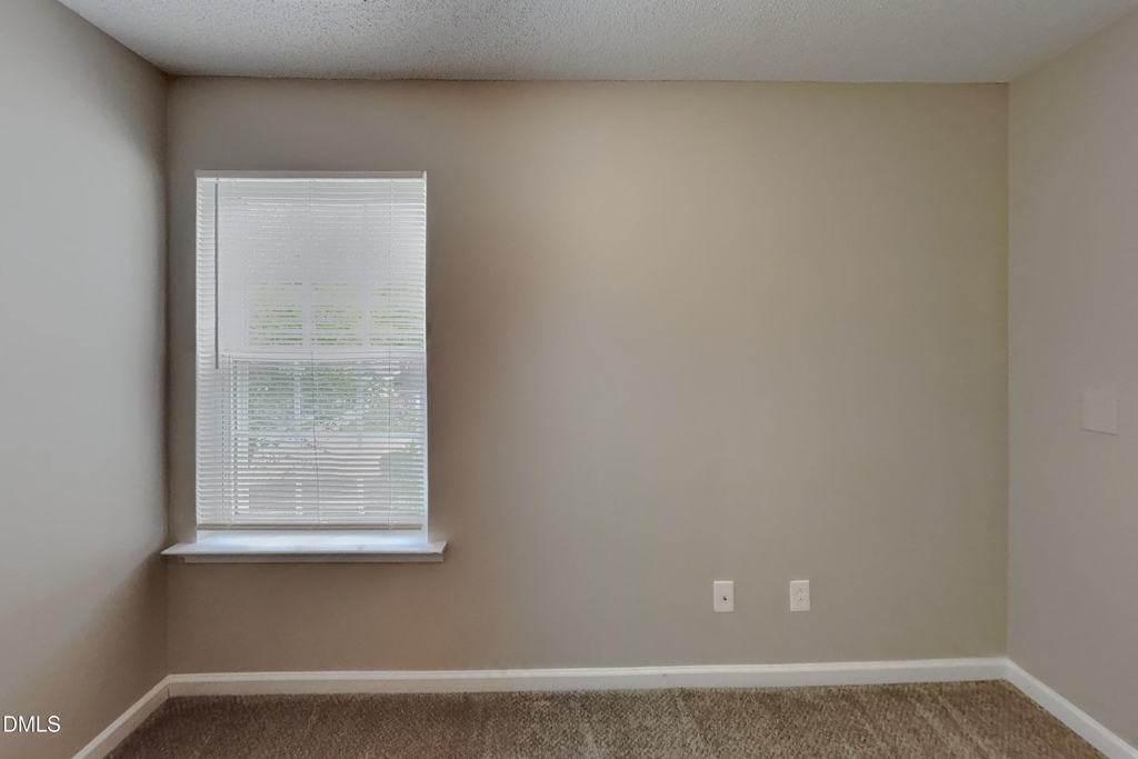 223 Pebblestone Drive - Photo 11