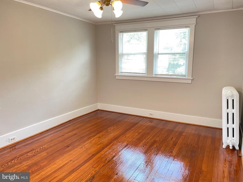 513 Jessamine - Photo 11