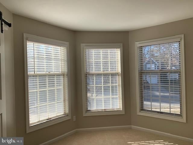 48005 Mayflower Drive - Photo 17