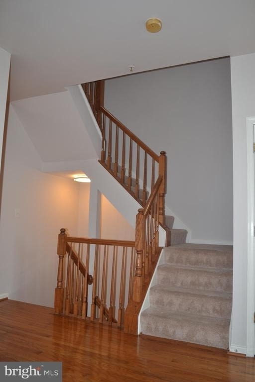 12015 Panthers Ridge Drive - Photo 8