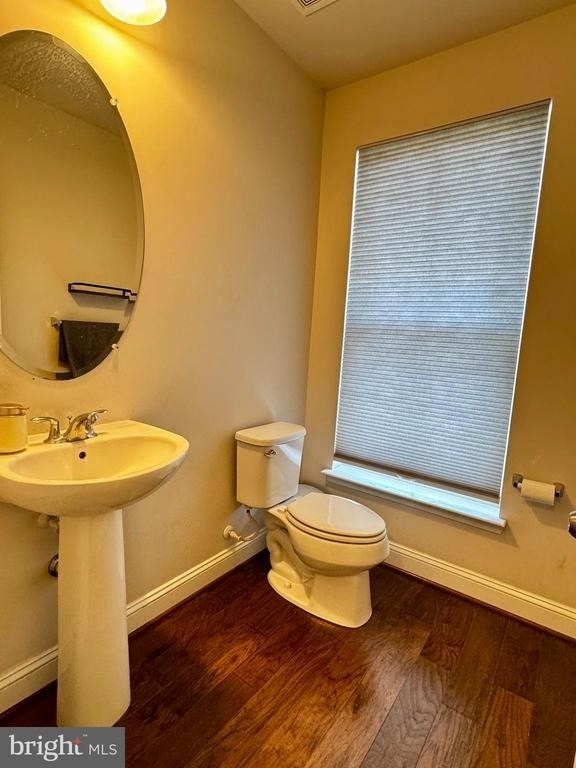 12116 Grey Squirrel Street - Photo 12