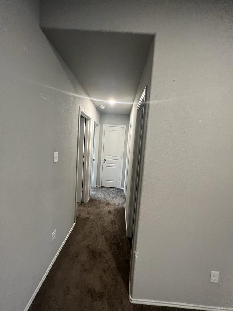2428 Nolan Creek St - Photo 12