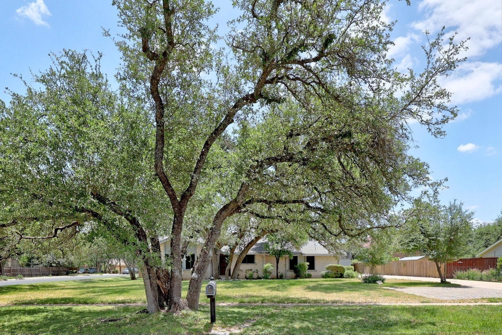 11205 D K Ranch Rd - Photo 1
