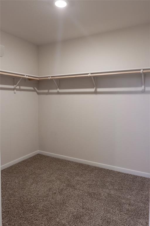 401 Abbey Ln - Photo 11