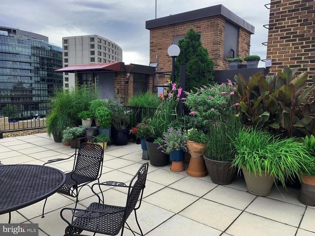 1825 T Street Nw - Photo 11