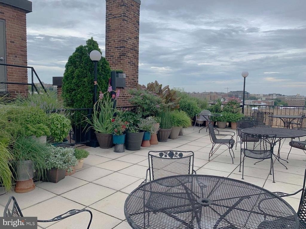 1825 T Street Nw - Photo 12