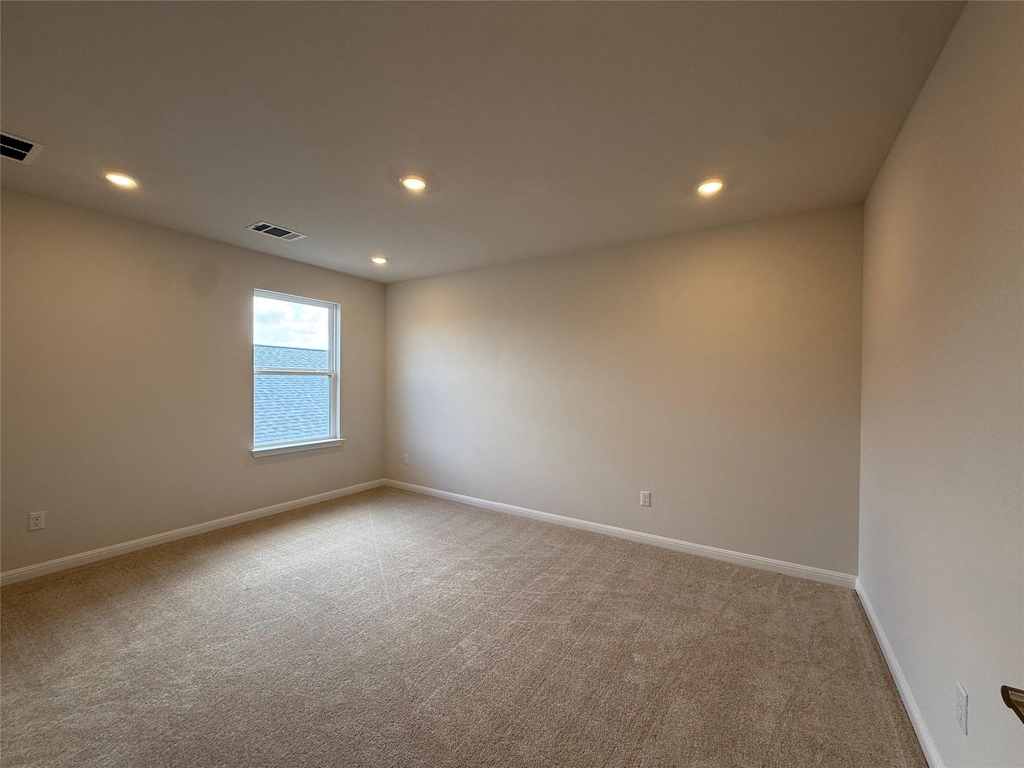 437 Leeward Pass - Photo 22