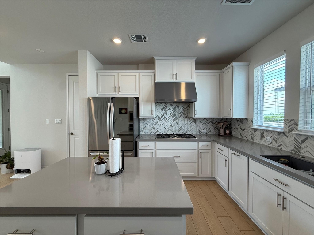 437 Leeward Pass - Photo 8