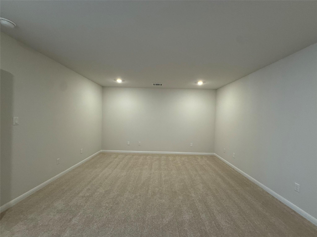 437 Leeward Pass - Photo 20