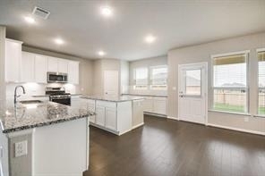 817 Paper Daisy Path - Photo 4