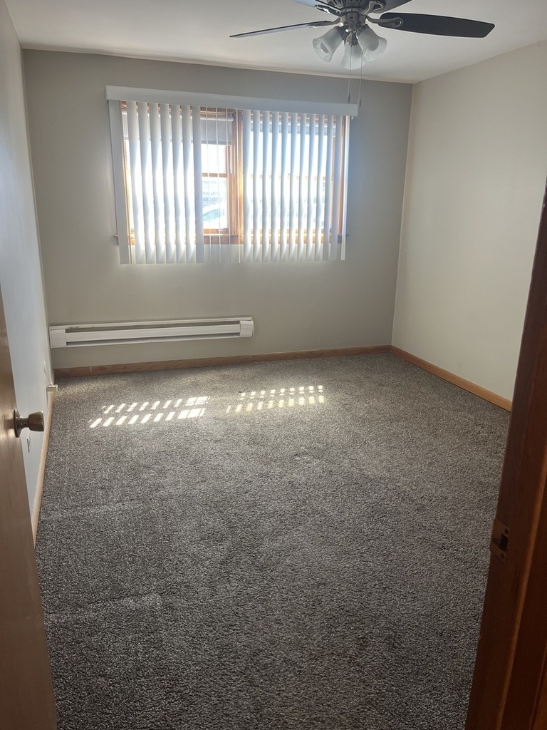 11945 S Hamlin Avenue - Photo 4