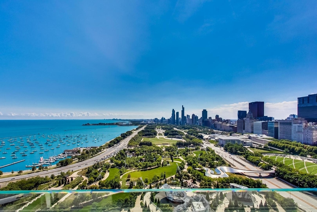 340 E Randolph Street - Photo 53
