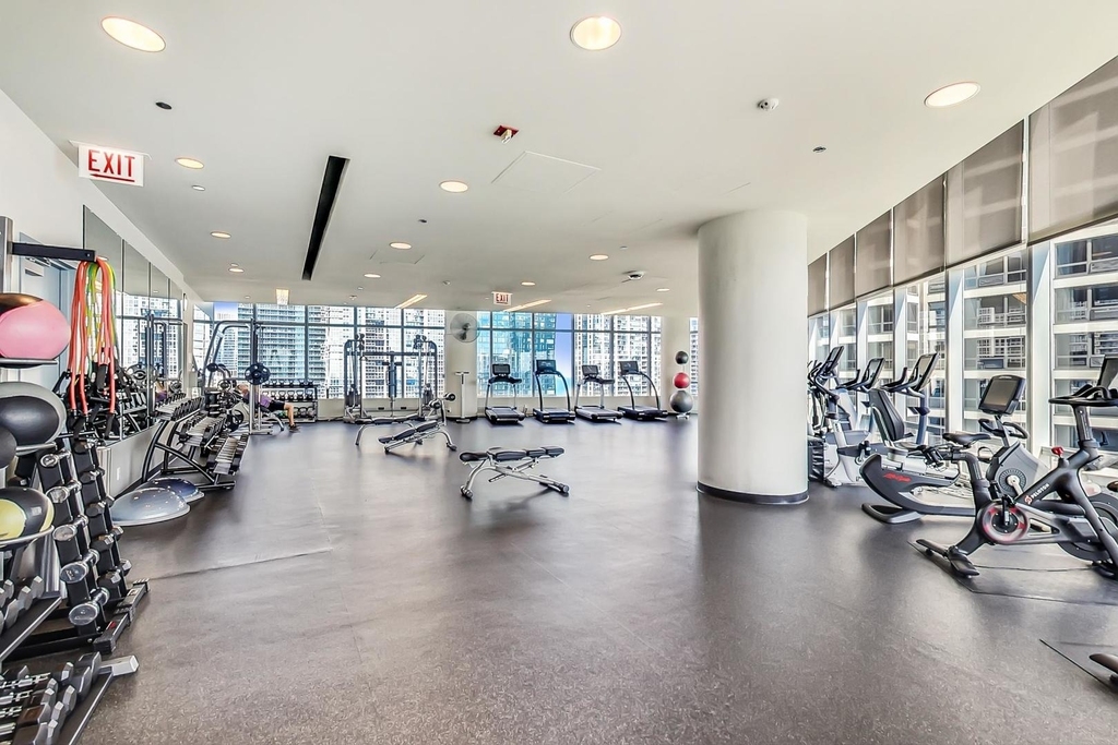 340 E Randolph Street - Photo 42