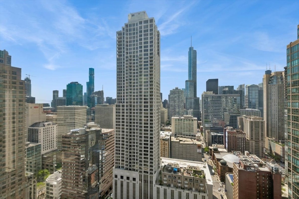 30 E Huron Street - Photo 14