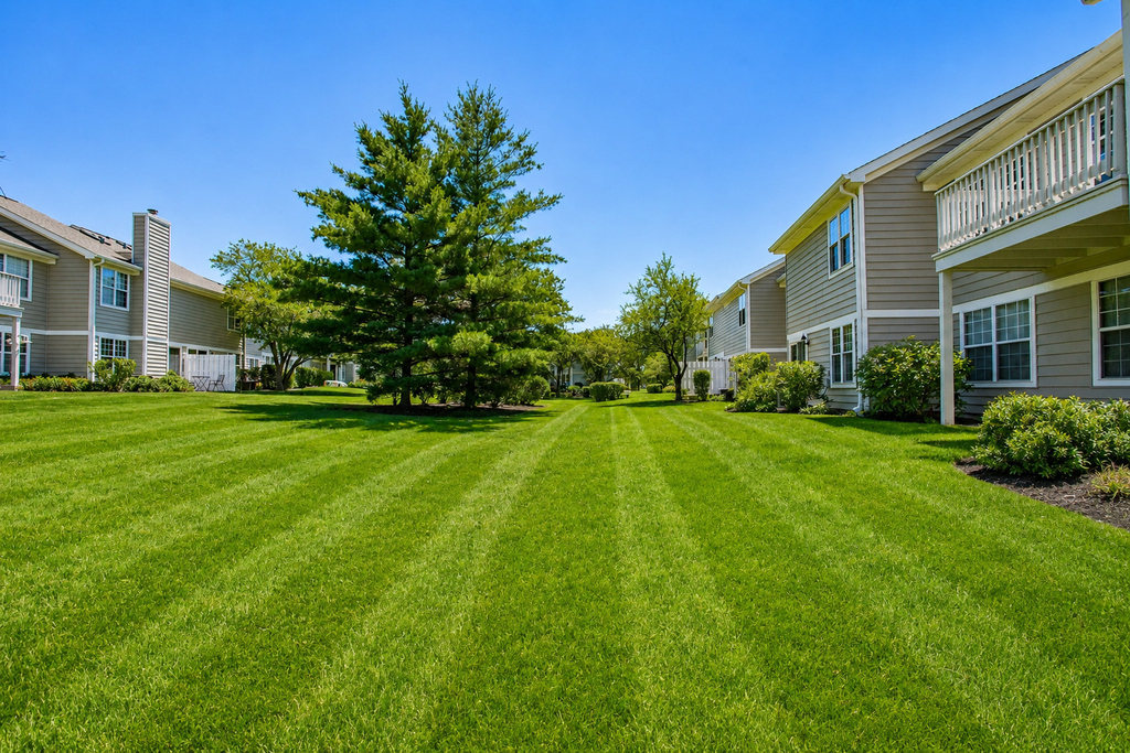 313 Sheffield Drive - Photo 53