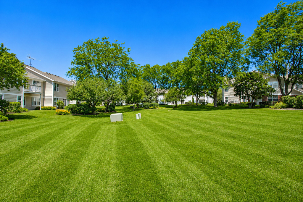 313 Sheffield Drive - Photo 55