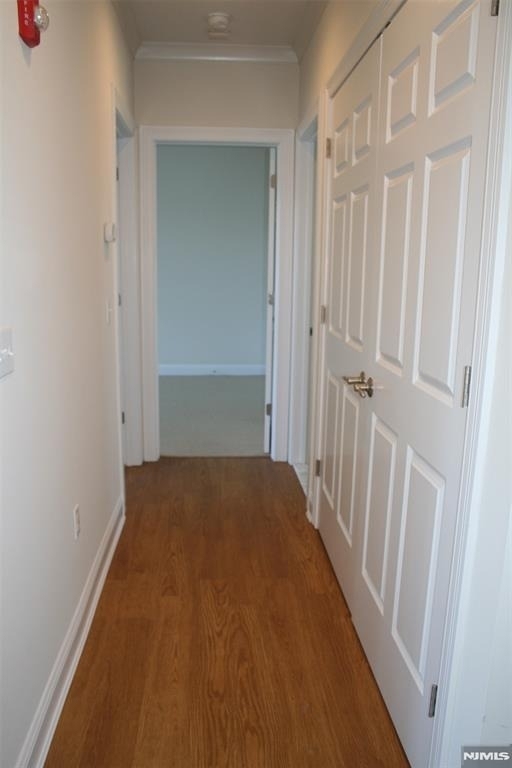 201-205 Franklin - Photo 11