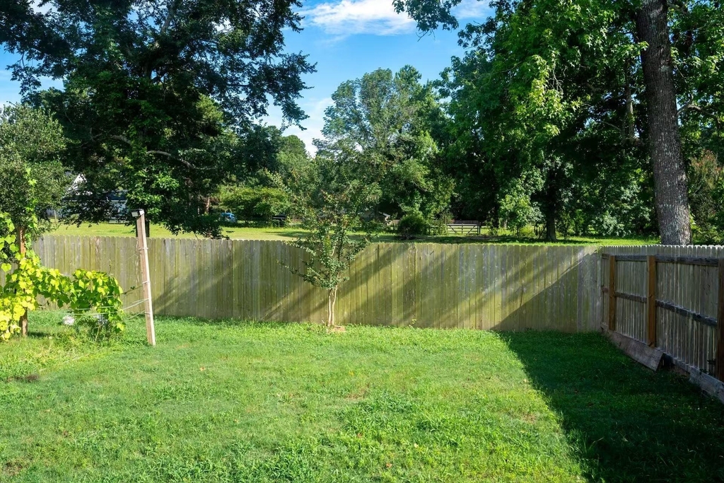 332 Pecos Drive - Photo 3