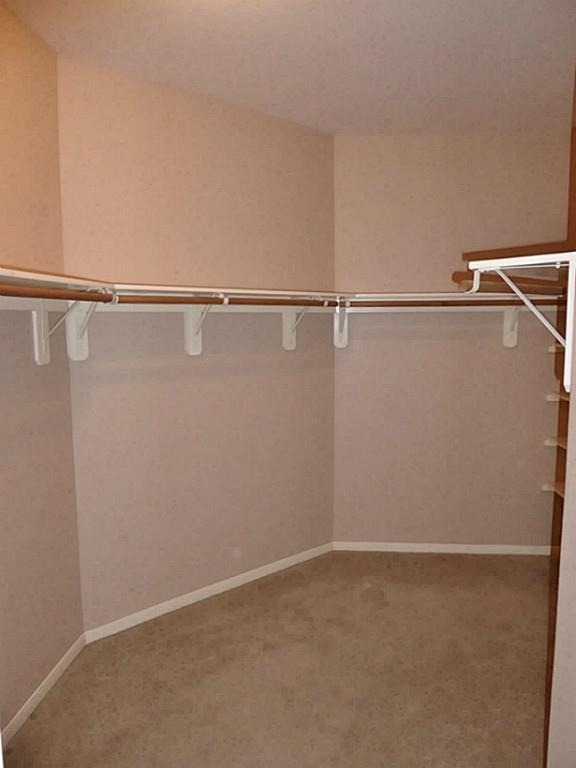 19803 Dayton Springs Drive - Photo 10