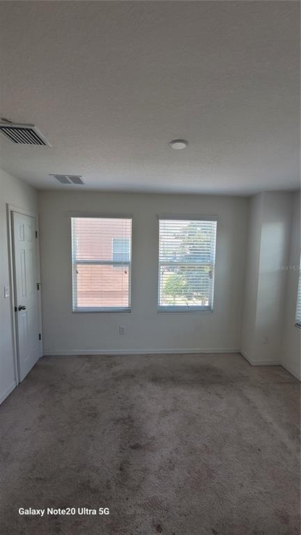 7005 Towering Spruce Drive - Photo 4