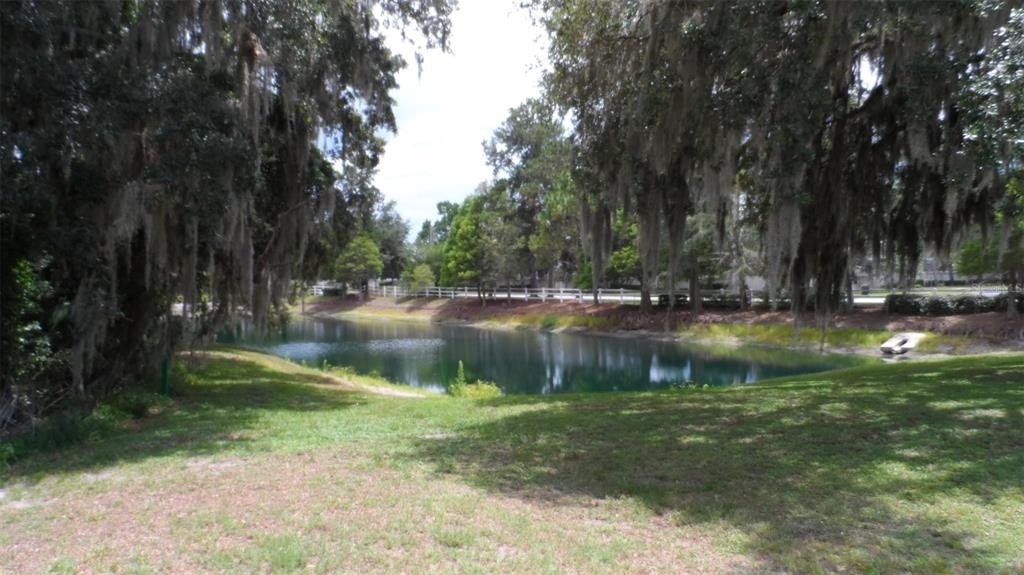 30709 Lanesborough Circle - Photo 24