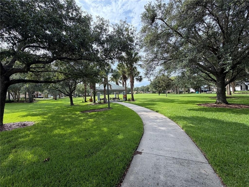 9305 Green Dragon Street - Photo 75