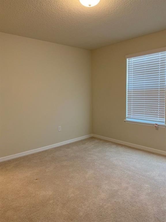 2101 Gopher Tortoise Terrace - Photo 14