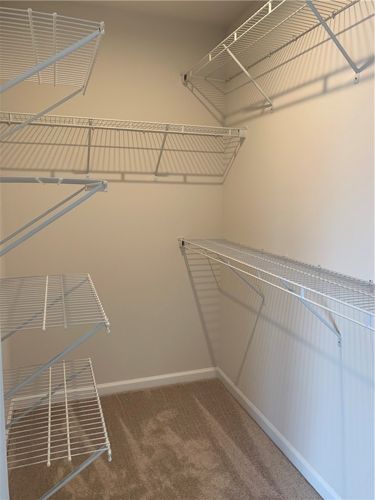2027 Cade Drive - Photo 10