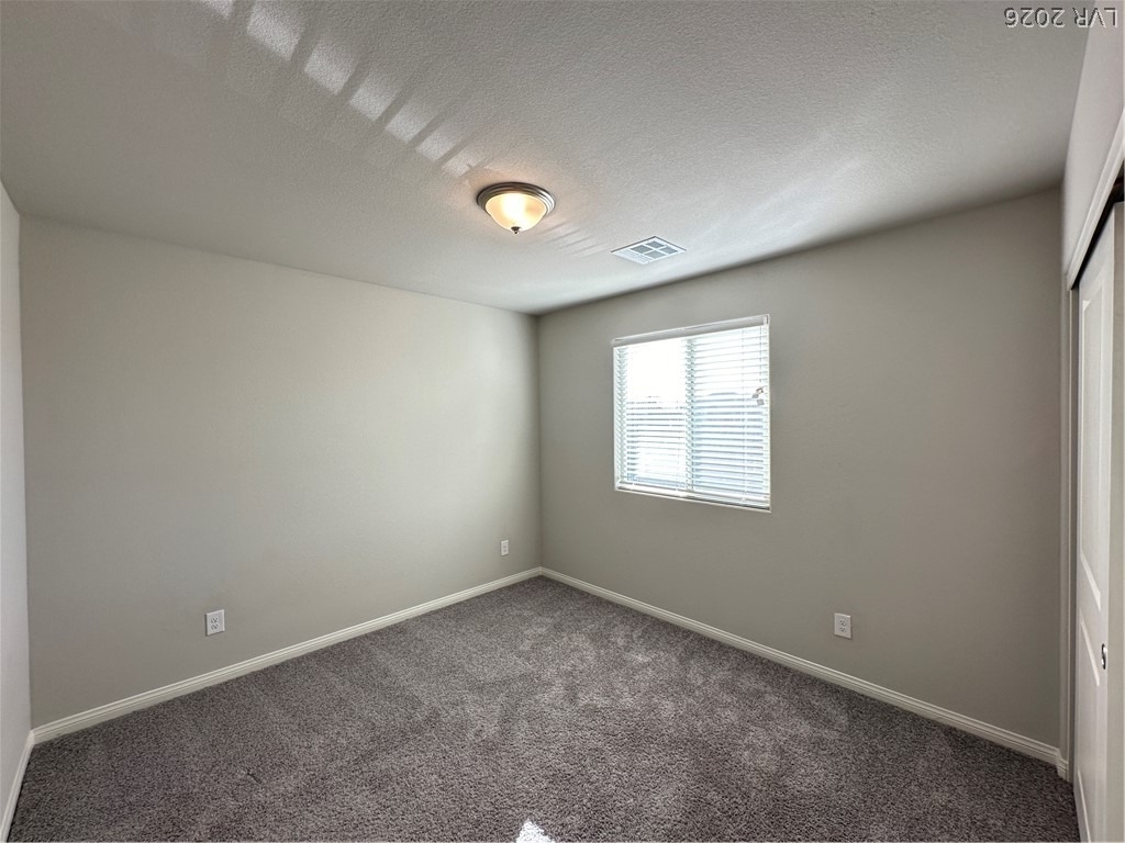 7860 Pink Opal Avenue - Photo 13