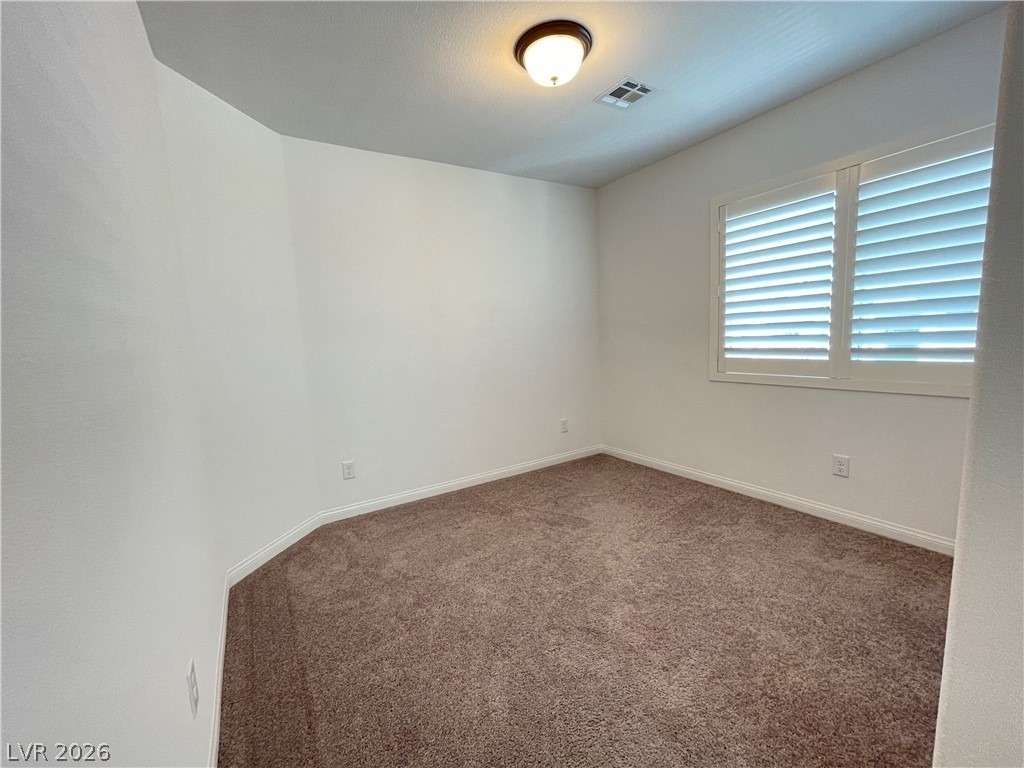7008 Steele Canyon Street - Photo 19