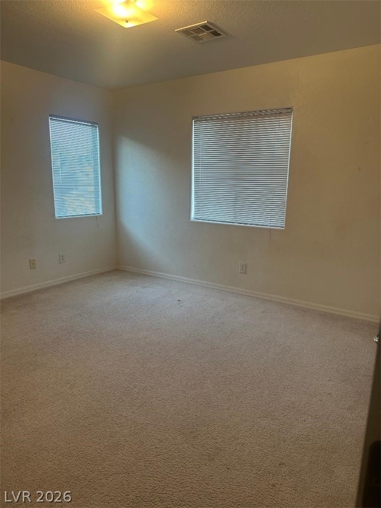 515 Newberry Springs Drive - Photo 5