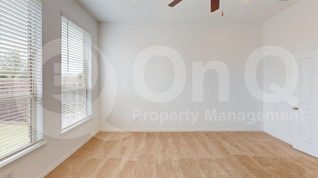 7324 Black Cherry Lane - Photo 15