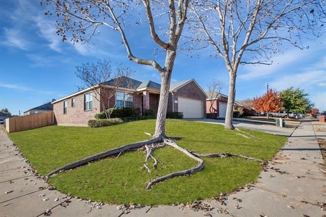 709 Alder Drive - Photo 34