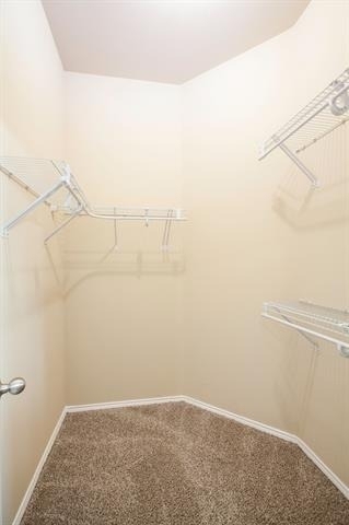709 Alder Drive - Photo 32