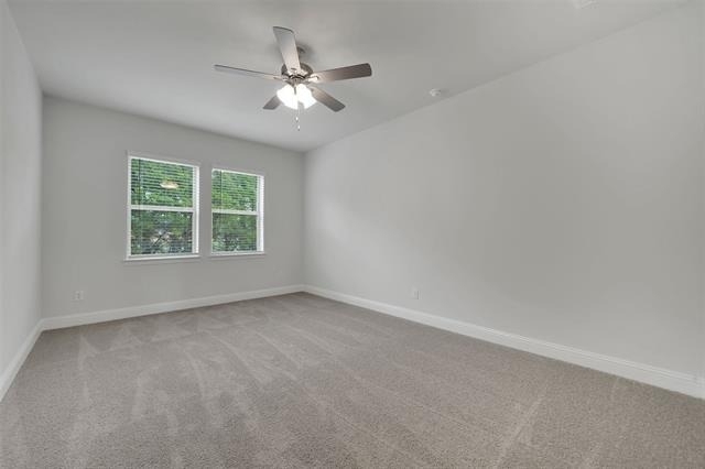 7929 Bayside Drive - Photo 14