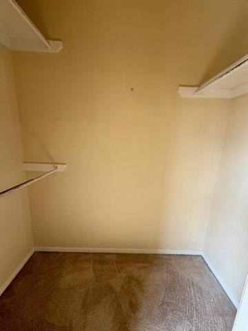716 W Mulberry Street - Photo 6