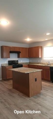 1609 Lone Pine Drive - Photo 21