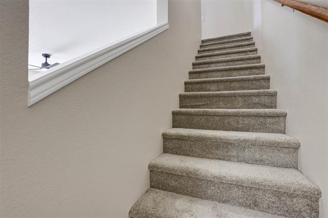 10724 Astor Drive - Photo 15