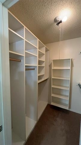 4008 Alava Drive - Photo 20