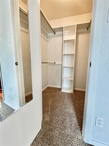705 Gregg Street - Photo 9